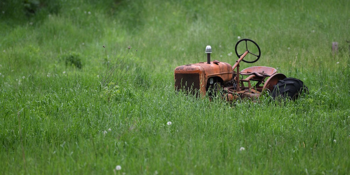 ExifExtractor: Zero to Desktop App in a Day