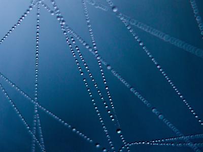 CameraForensics platform now available through Paliscope