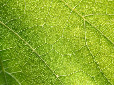 The need for monitoring processes within CameraForensics