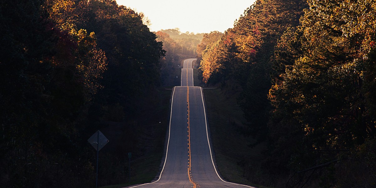 CameraForensics in 2024: our roadmap